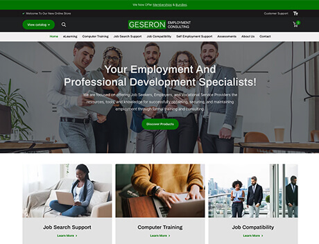 Whissel Strategies Screenshot of a professional consulting website homepage, designed by Whissel Strategies, with a banner stating "Your Employment and Professional Development Specialists" and sections for job search, training, and support services. Toronto Digital Marketing Agency