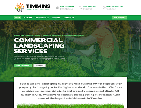 TCL – Whissel Strategies client project